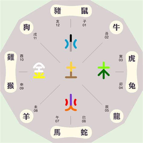 八卦 属性|八卦对应的五行属性表 八卦对应的五行属性表图